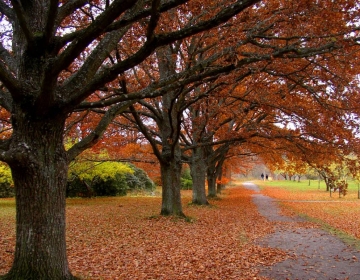 Sed ut perspiciatis unde22222