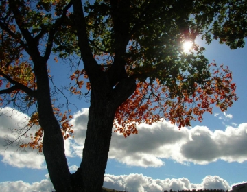 Sed ut perspiciatis unde22222