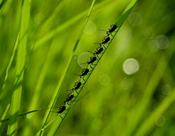 Sed ut perspiciatis unde22222