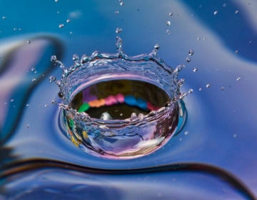 Sed ut perspiciatis unde22222