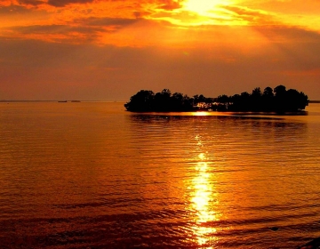 Sed ut perspiciatis unde22222